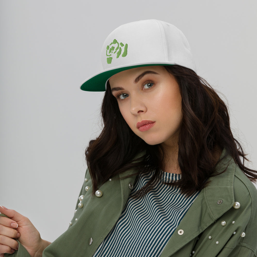 Flat Bill Cap - Light Green Pandeau